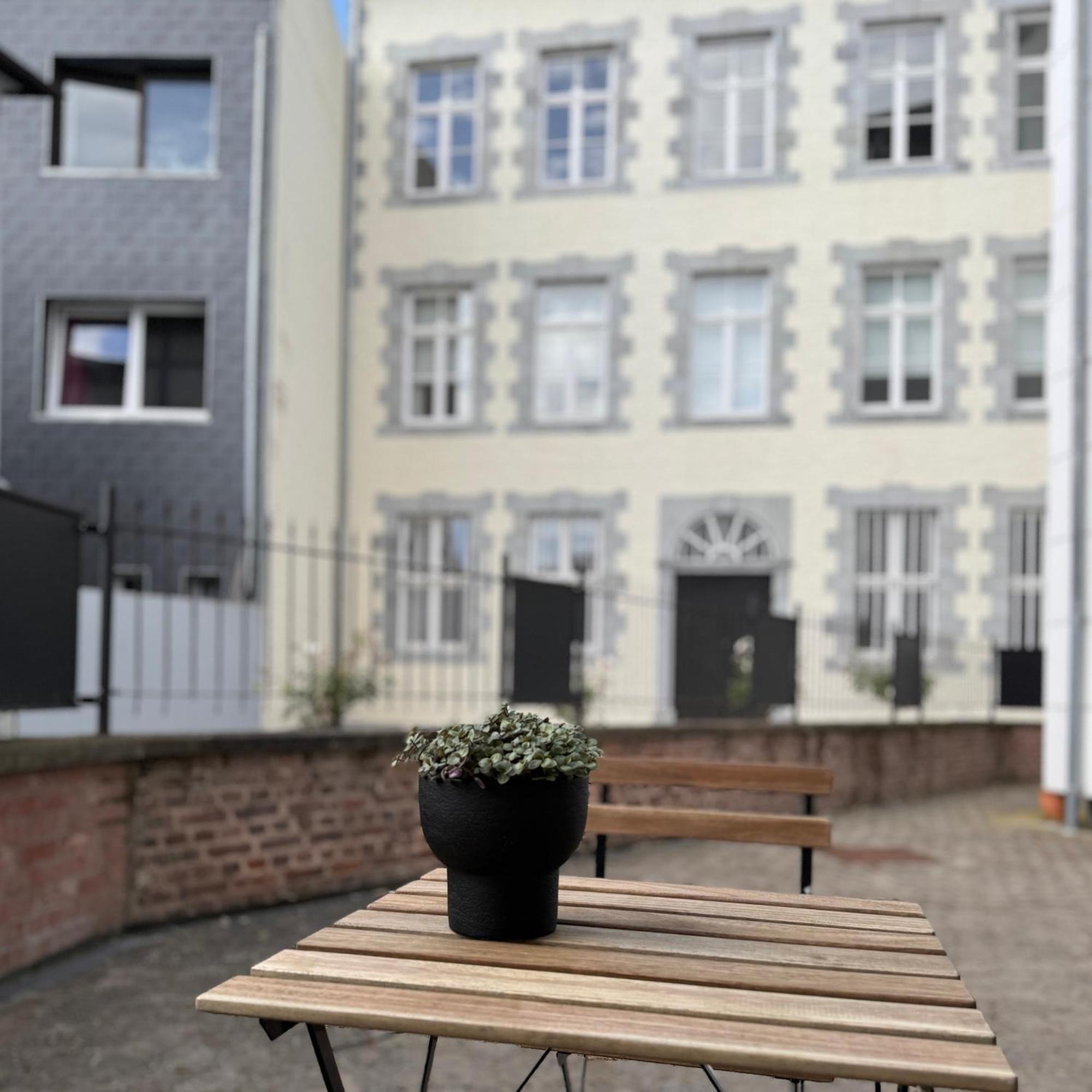 Le Dragon - Gite Accueillant Malmedy Exterior foto