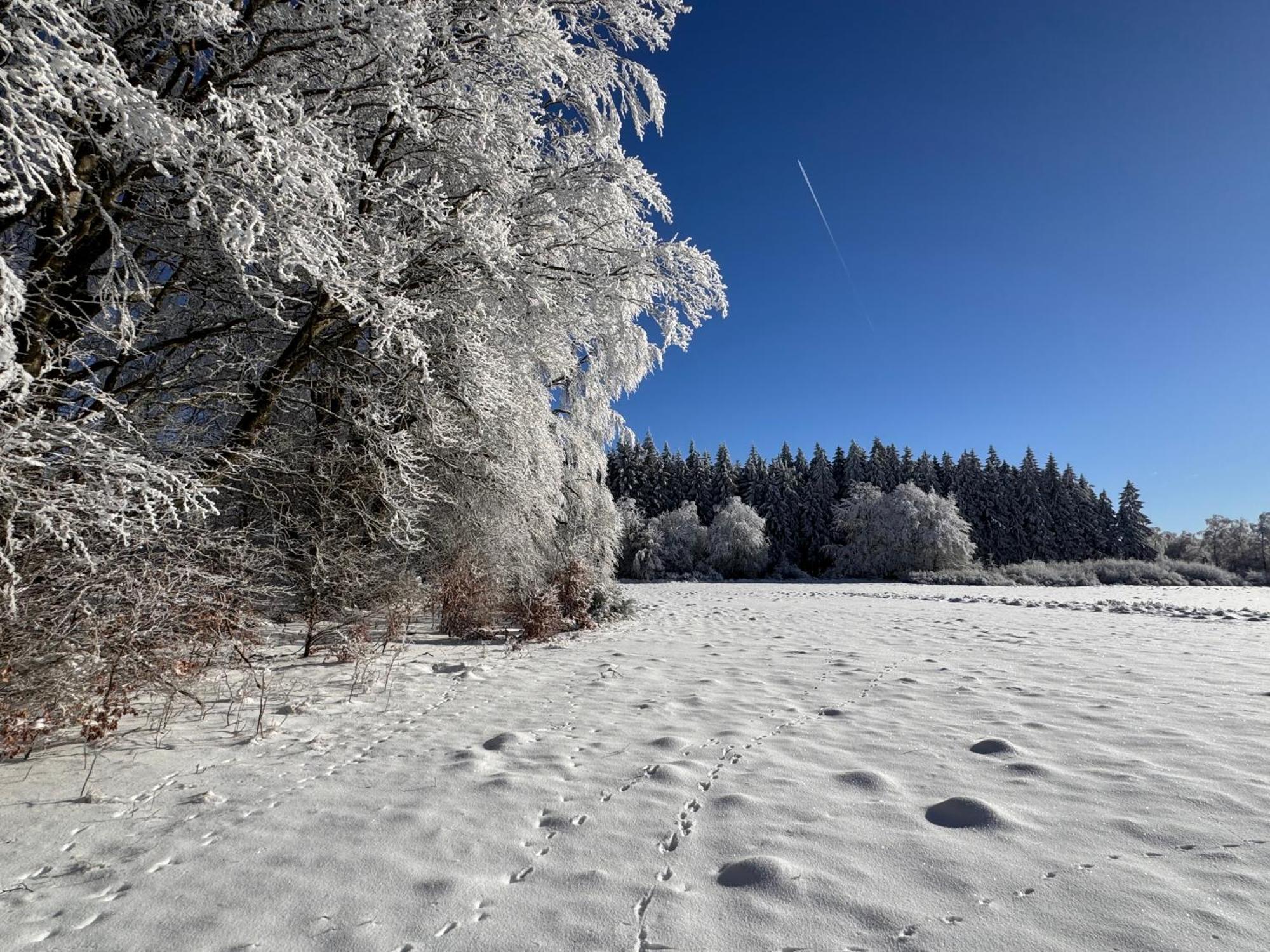 Le Dragon - Gite Accueillant Malmedy Exterior foto